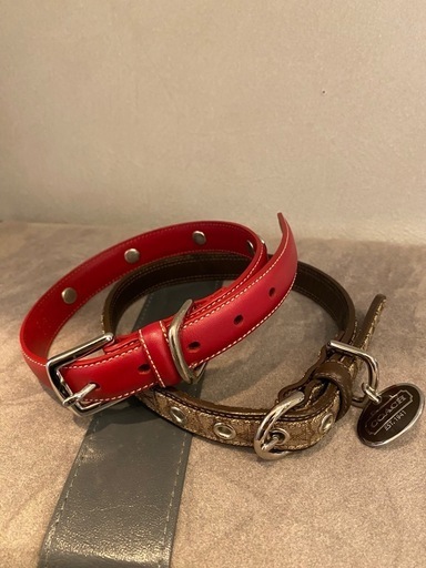 コーチ　犬用首輪