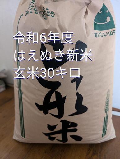 令和6年度 山形県産 はえぬき 30キロ 新米 正規 品