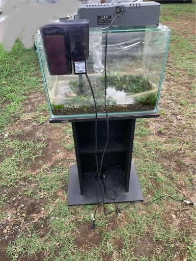 水槽　　棚付き