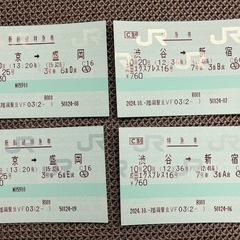 【盛岡〜東京】新幹線往復チケット2名分