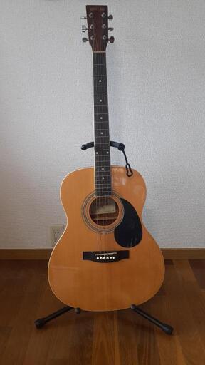 HONEY BEEアコギ