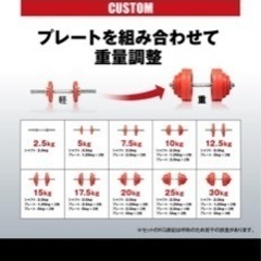 ダンベル  IROTEC(アイロテック)ラバー ダンベル60kgセット 30kg×2個 / 筋トレ 鉄アレイ トレーニング器具 ベンチプレス アジャスタブル 可変式 筋トレ器具