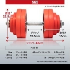 ダンベル  IROTEC(アイロテック)ラバー ダンベル60kgセット 30kg×2個 / 筋トレ 鉄アレイ トレーニング器具 ベンチプレス アジャスタブル 可変式 筋トレ器具