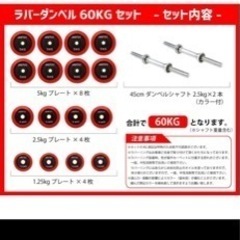 ダンベル  IROTEC(アイロテック)ラバー ダンベル60kgセット 30kg×2個 / 筋トレ 鉄アレイ トレーニング器具 ベンチプレス アジャスタブル 可変式 筋トレ器具