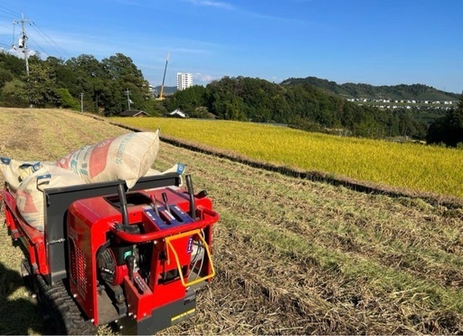 令和6年新米 広島県産  無農薬  ヒノヒカリ 玄米 30キロ