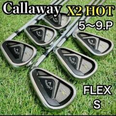 キャロウェイ X2 HOT アイアン(5i〜PW) N.S.PRO 950GH