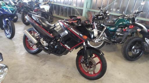動画あり　機関良好　★GPX250R EX250E Ninja250★