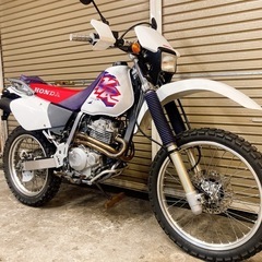 ホンダ　XR250 配送可能　支払いは現金or振り込みも可能 ホンダ XR250 配送可能 支払いは現金or振り込みも可能