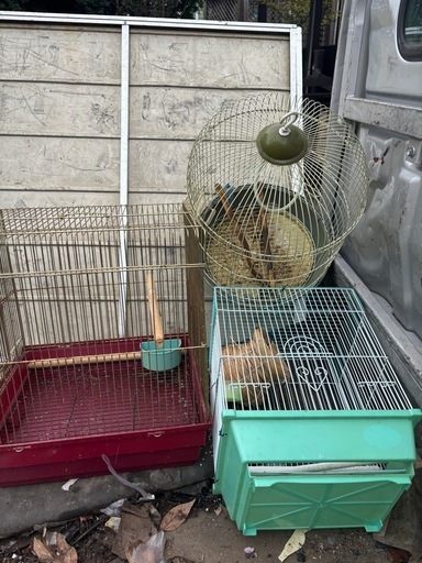 鳥かご