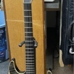 珍しいギターです