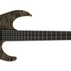 珍しいギターです