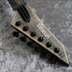 珍しいギターです