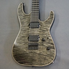 珍しいギターです