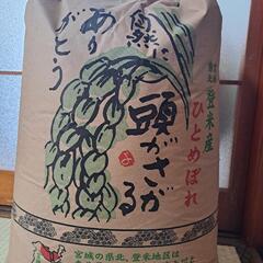 完売令和7年産 令和6年宮城県産 ひとめぼれ玄米30kg 宮城県産 