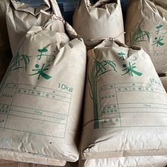 古米（令和5年の玄米）