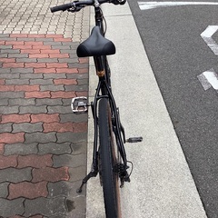 ? キァノンデールsolo