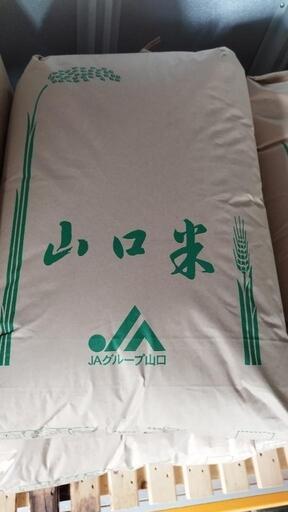 令和6年度新米　光産きぬむすめ玄米30kg　②