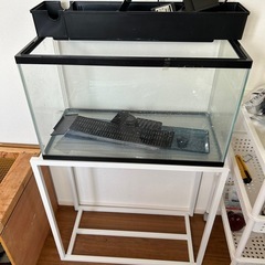 60cm水槽セット 受け渡し決定しました！