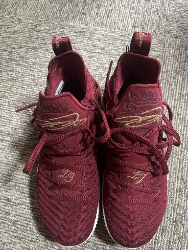 スニーカー NIKE LEBRON XVI US11 27.5cm