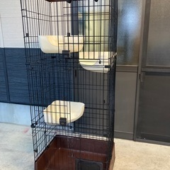 TOSHIBA REGZA ZH7000 46インチ(クロームキャスト付）