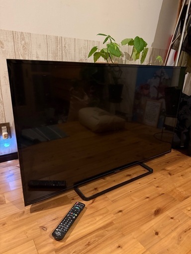 パナソニック テレビ 49インチ TH-49D300 2016年製