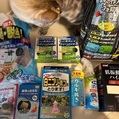 【予定者決定】GEX 90cm水槽・水槽台・備品