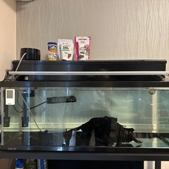 予定者決定】GEX 90cm水槽・水槽台・備品