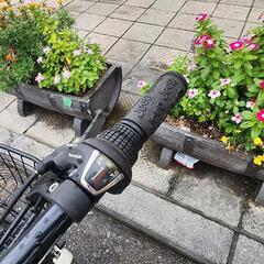 ＪＥＥＰ　折りたたみ自転車　２０インチ　６変速　カゴ　付き　白　配達可能