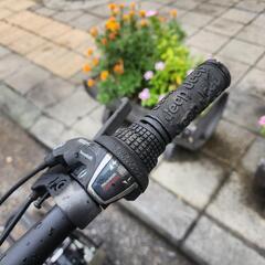 折りたたみ自転車　ＪＥＥＰ　２０インチ　６変速　緑　配達可能