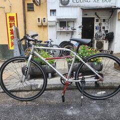 クロスバイク 700x28c 7変速 シルバー 配達可能