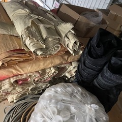 ベンリークロス　小菊　