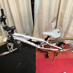 ルイガノ24インチ自転車