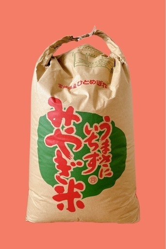 令和6年　ひとめぼれ20キロ