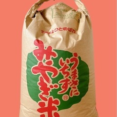 令和6年　ひとめぼれ20キロ