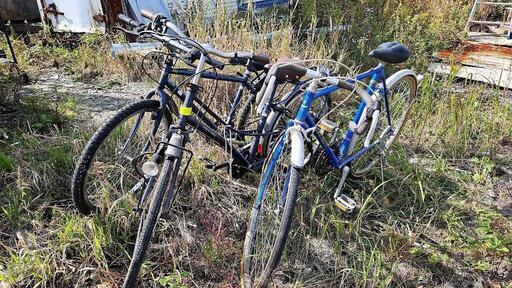 自転車