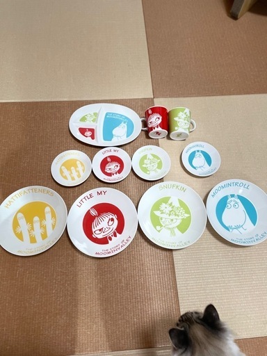 ムーミン　MOOMIN　パスタカレー皿　小皿　マグカップ　プレート皿 ムーミン プレート スナフキン