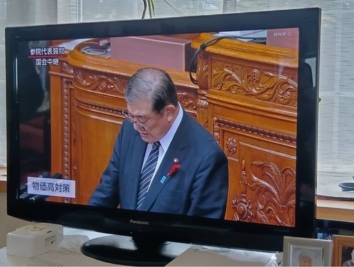 パナソニック　42インチ　テレビ　TH-P42G2-K  値引き可