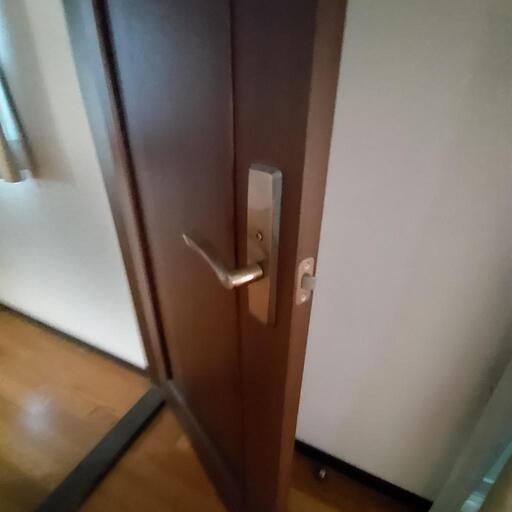 建具　室内扉　ドア　【取り外し可能な方】ダイケン
