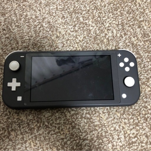 ニンテンドーDS,3DS Nintendo  Switch LITE