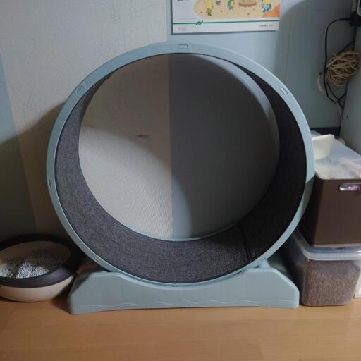 猫 ストレス解消回転ローラー