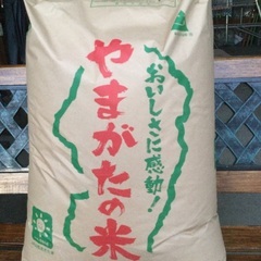 令和6年度　はえぬき　特Aランク　山形県産　３０キロ玄米