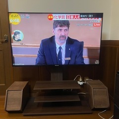 50インチハイセンスTV、テレビ台