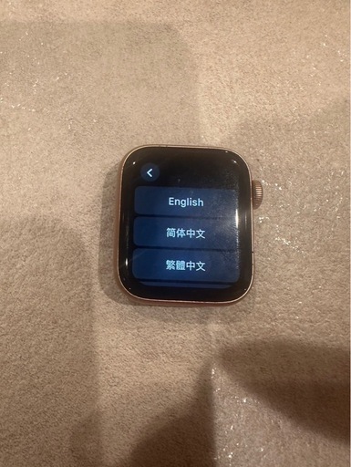 その他 Apple Watch SE