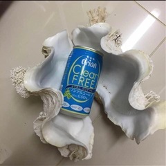 大きなシャコ貝-シマノ　海魂3000T