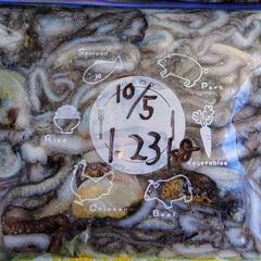 ウデナガカクレダコの中古が安い！激安で譲ります・無料であげます  