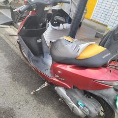 バイク HONDA Dio  原付 50cc