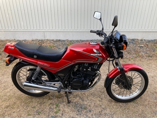cbx250rs フルノーマル　めちゃ綺麗です‼︎