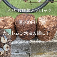 しいたけ廃菌床ブロックカブトムシ幼虫の餌に！ (Macky) 原当麻のその他の中古あげます・譲ります｜ジモティーで不用品の処分