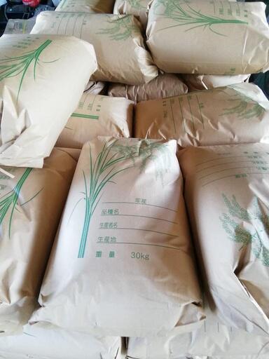 令和６年９月収穫　コシヒカリ玄米３０ｋｇ