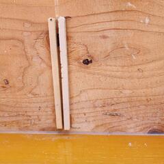 爬虫類飼育ケージセット